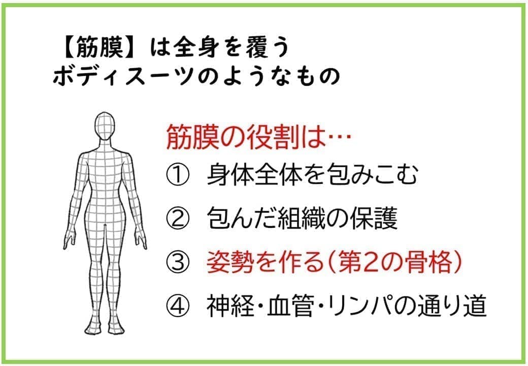 筋膜はボディスーツのようなもの