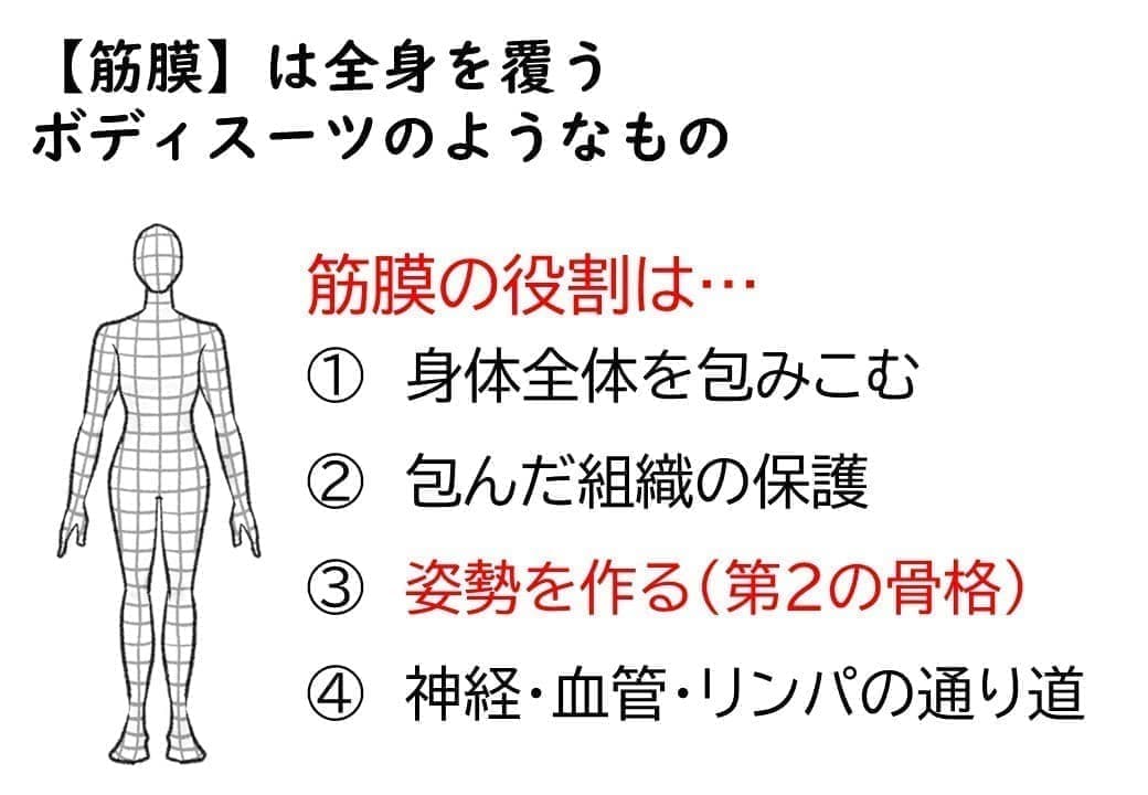 筋膜はボディスーツ