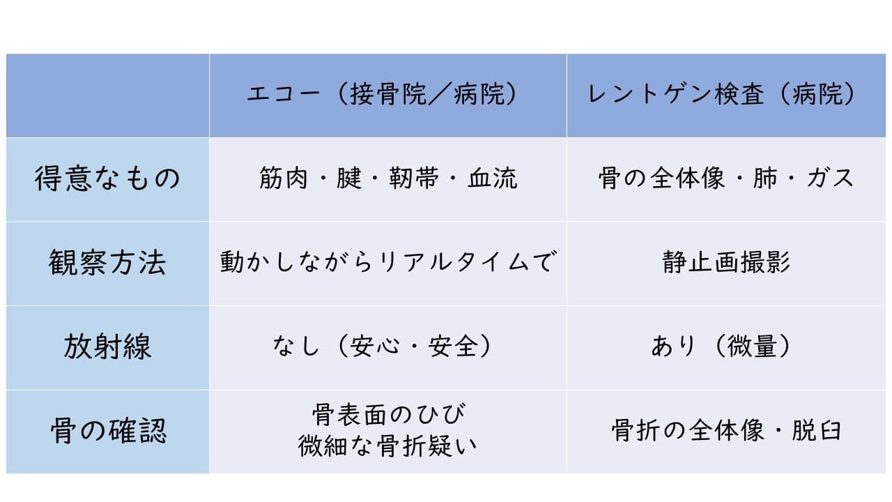 エコーとレントゲンの違い